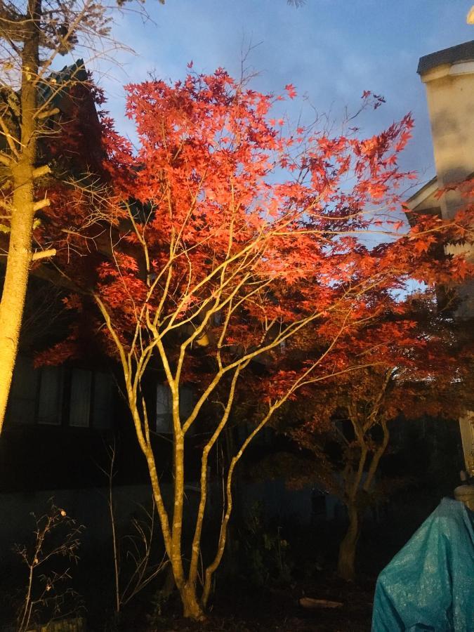 温泉ゲストハウス やすもり 本館 Hachimantai  Esterno foto